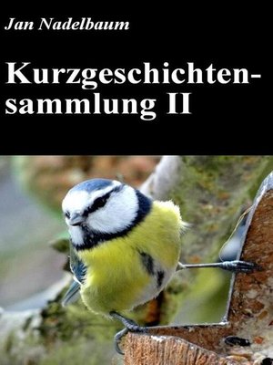 cover image of Kurzgeschichtensammlung II
